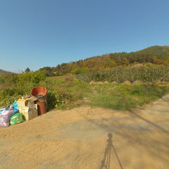 홍천 금학산