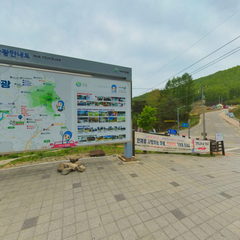 인제 속삭이는자작나무숲
