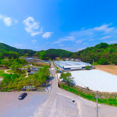 효석달빛언덕